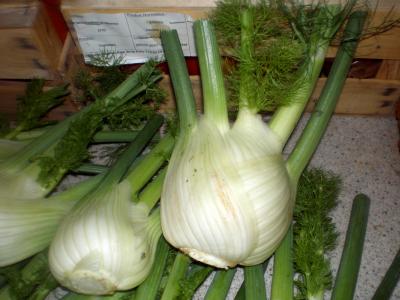 Image : Fenouil