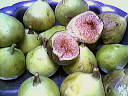 figues blanches