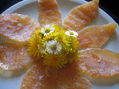 Photo : Ecorces de pomelo