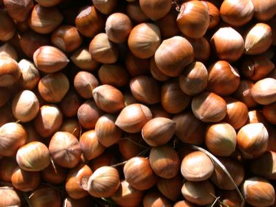 Photo : Huile de noisette