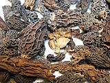 morilles séchées