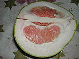 Pamplemousse vrai