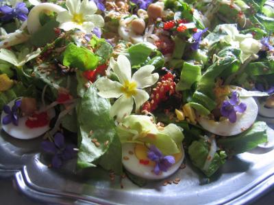 Photo : violettes et primevères en salade