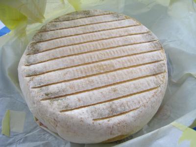 Photo : fromage Sain-Nectaire
