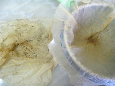 Velouté de cèpes à la landaise et son béret - 18.2