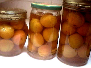 recette fruit alcool : Bocaux d'abricots à l'eau de vie