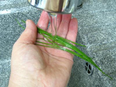 Asperges en sabayon au Marsala - 3.1