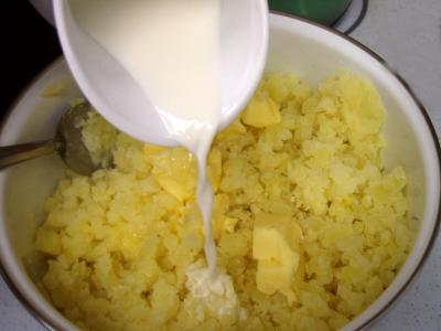Roussette en purée - 7.1