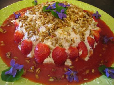 mousseline : Mousse aux graines de tournesol et son coulis de fraises