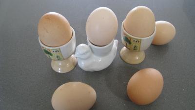 Photo : Des oeufs à la coque