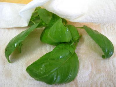 Sauce tomates sicilienne - 1.4