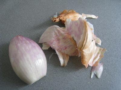 Blanquette de coquilles Saint-Jacques - 6.3