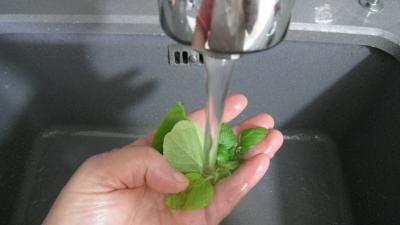 Cèpes aux pommes de terre à la landaise - 1.4