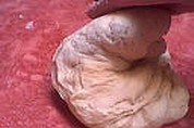 Brioche fine - 5.2