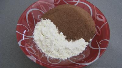 Brownies moisis aux asticots - 3.3