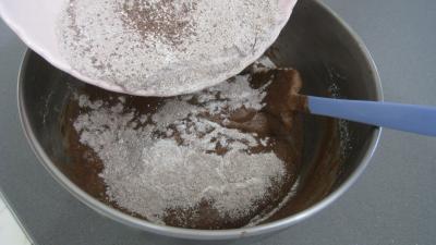 Brownies moisis aux asticots - 7.3
