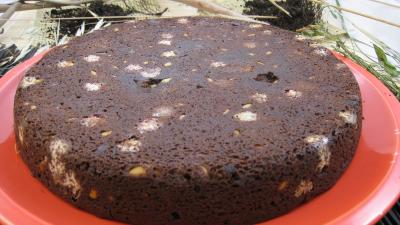 brownies : Biscuit brownies moisis aux asticots