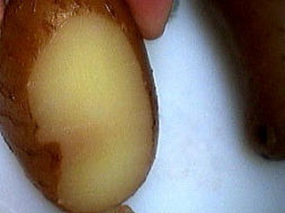 Canapés aux pommes de terre - 6.3
