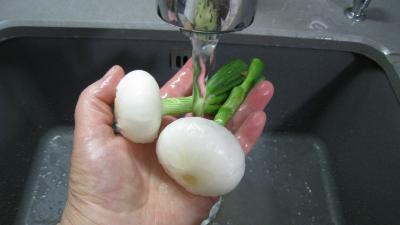 Côtes de porc aux légumes - 2.2