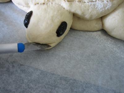 Pain aux oignons en forme de tortue - 15.2
