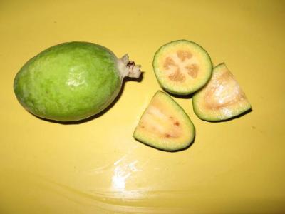 Image : Feijoa