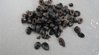 Pain aux olives - 5.1