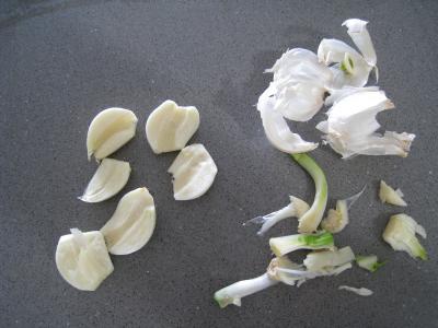 Macaronis sauce aux noisettes - 1.4