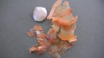 Salade de coquillettes aux noix - 2.3