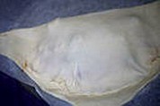 Calzone aux 3 fromages - 6.1