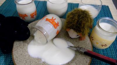 lait : Pots de yarouts à la vanille en yaourtière