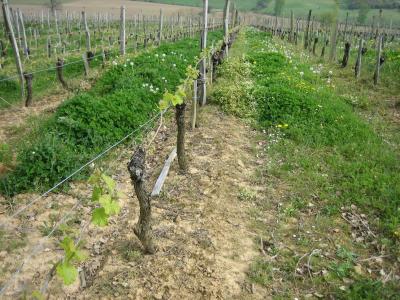 rencontre sud ouest gratuit