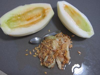 Macédoine de melon et pastèque au Porto - 2.1