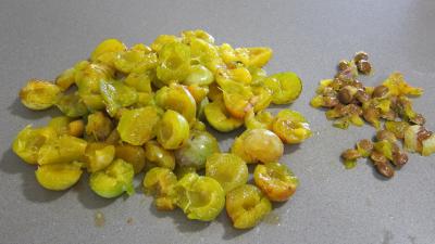 Liqueur de mirabelles au gin - 1.1