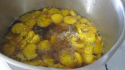Liqueur de mirabelles au gin - 2.1